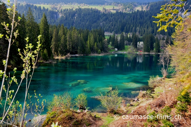 Badesee bei Trin - Crestasee