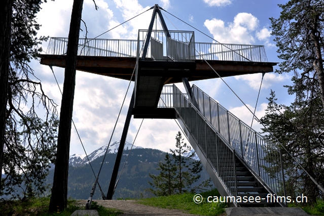 Wanderung zum Mauersegler bei Conn