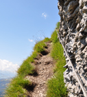 Schmaler Felsweg - Klettersteig Pinut oberhalb Flims