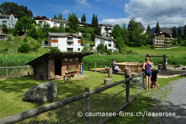 Kleiner Streichelzoo und Geschicklichkeitsparcour in Laax beim Laaxersee.